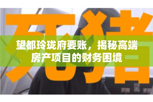 望都玲珑府要账,揭秘高端房产项目的财务困境 望都玲珑府要账,揭秘高端房产项目的财务困境