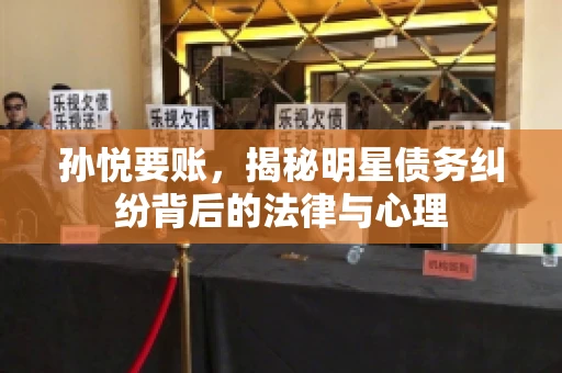 孙悦要账，揭秘明星债务纠纷背后的法律与心理