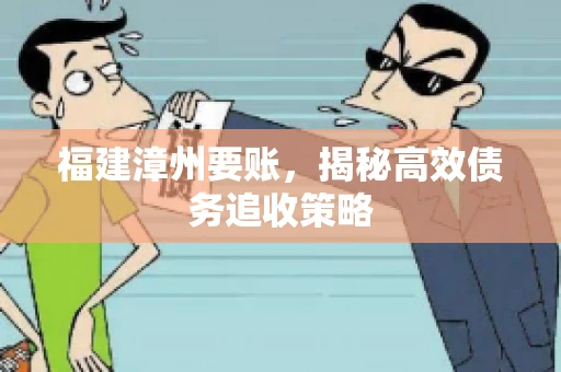 福建漳州要账，揭秘高效债务追收策略