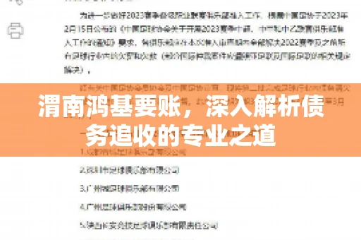 渭南鸿基要账，深入解析债务追收的专业之道
