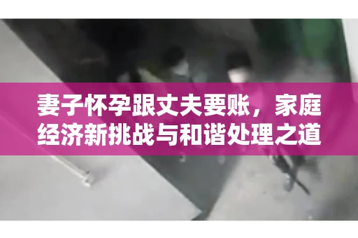 妻子怀孕跟丈夫要账，家庭经济新挑战与和谐处理之道