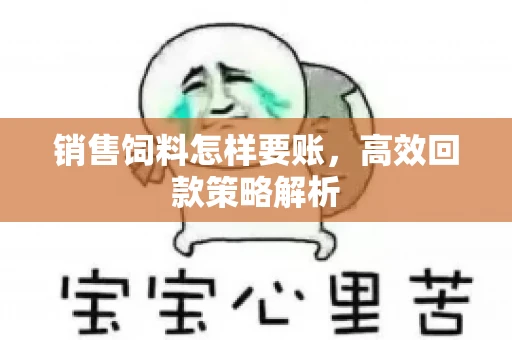 销售饲料怎样要账，高效回款策略解析