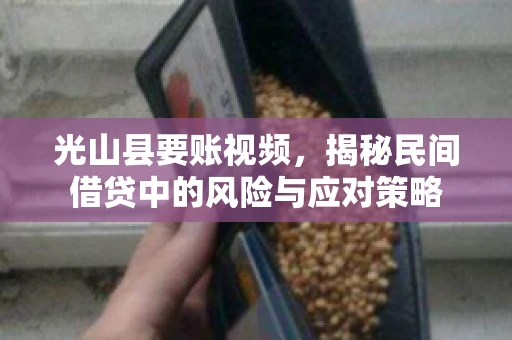 光山县要账视频，揭秘民间借贷中的风险与应对策略