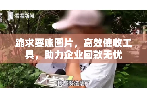 跪求要账图片，高效催收工具，助力企业回款无忧