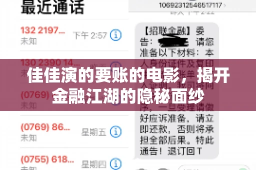 佳佳演的要账的电影，揭开金融江湖的隐秘面纱