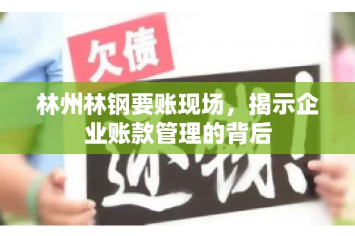 林州林钢要账现场，揭示企业账款管理的背后
