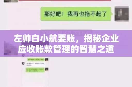 左帅白小航要账，揭秘企业应收账款管理的智慧之道