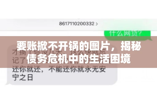 要账掀不开锅的图片,揭秘债务危机中的生活困境 要账掀不开锅的图片,揭秘债务危机中的生活困境