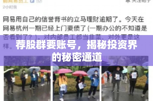 荐股群要账号，揭秘投资界的秘密通道