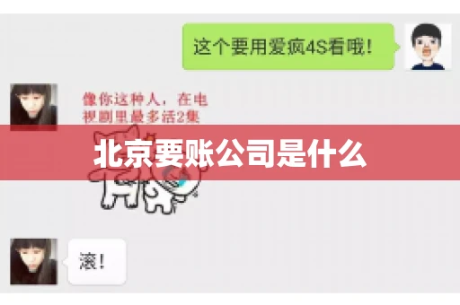 北京要账公司是什么