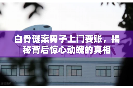 白骨谜案男子上门要账，揭秘背后惊心动魄的真相