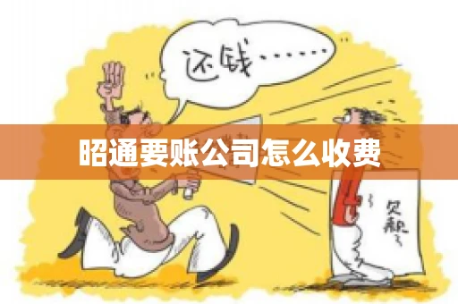 昭通要账公司怎么收费