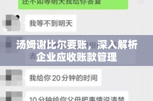 汤姆谢比尔要账，深入解析企业应收账款管理