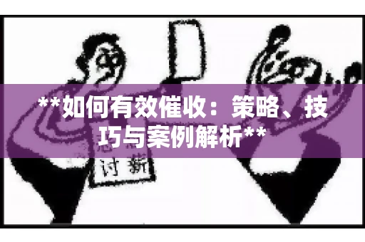 **如何有效催收：策略、技巧与案例解析**