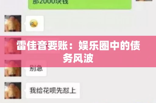 雷佳音要账:娱乐圈中的债务风波 雷佳音要账:娱乐圈中的债务风波
