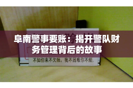 阜南警事要账：揭开警队财务管理背后的故事
