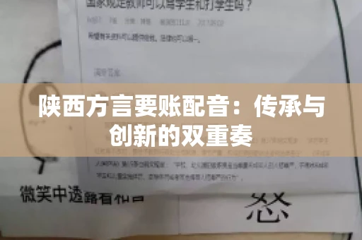 陕西方言要账配音:传承与创新的双重奏 陕西方言要账配音:传承与创新的双重奏