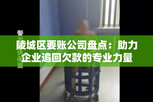 陵城区要账公司盘点：助力企业追回欠款的专业力量