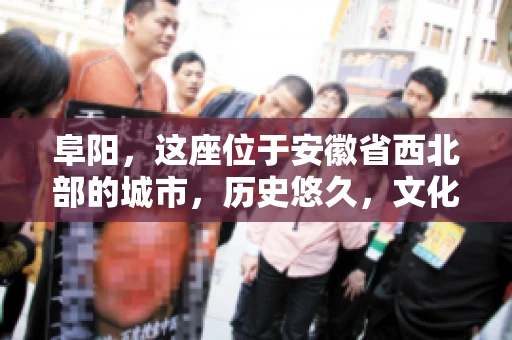 阜阳，这座位于安徽省西北部的城市，历史悠久，文化底蕴深厚。近年来，随着经济的发展，商业活动日益频繁，随之而来的是应收账款的管理问题。那么，阜阳有木有要账公司呢？今天，我们就来聊聊这个话题。