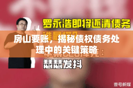 房山要账,揭秘债权债务处理中的关键策略 房山要账,揭秘债权债务处理中的关键策略