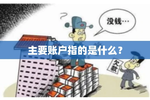 主要账户指的是什么？