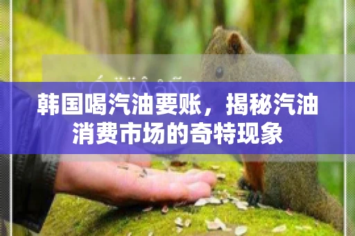 韩国喝汽油要账,揭秘汽油消费市场的奇特现象 韩国喝汽油要账,揭秘汽油消费市场的奇特现象