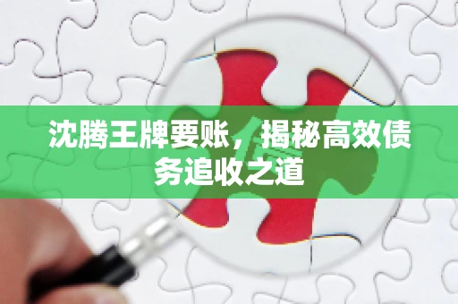 沈腾王牌要账，揭秘高效债务追收之道