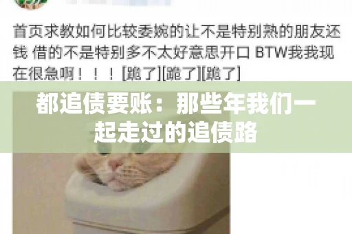 都追债要账：那些年我们一起走过的追债路