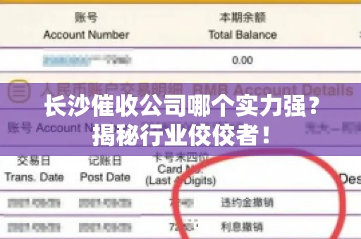 长沙催收公司哪个实力强?揭秘行业佼佼者! 长沙催收公司哪个实力强?揭秘行业佼佼者!