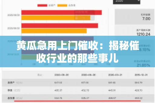 黄瓜急用上门催收：揭秘催收行业的那些事儿