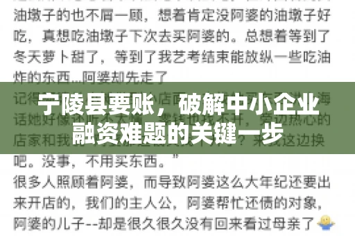 宁陵县要账，破解中小企业融资难题的关键一步