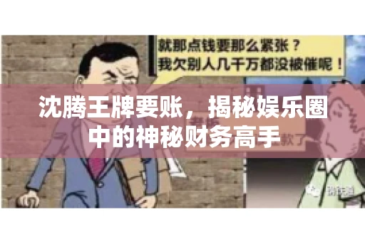 沈腾王牌要账,揭秘娱乐圈中的神秘财务高手 沈腾王牌要账,揭秘娱乐圈中的神秘财务高手